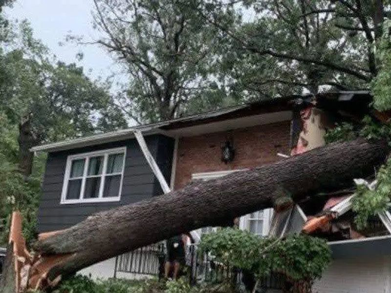 Tree removal job in the Brier Creek neighborhood of Raleigh