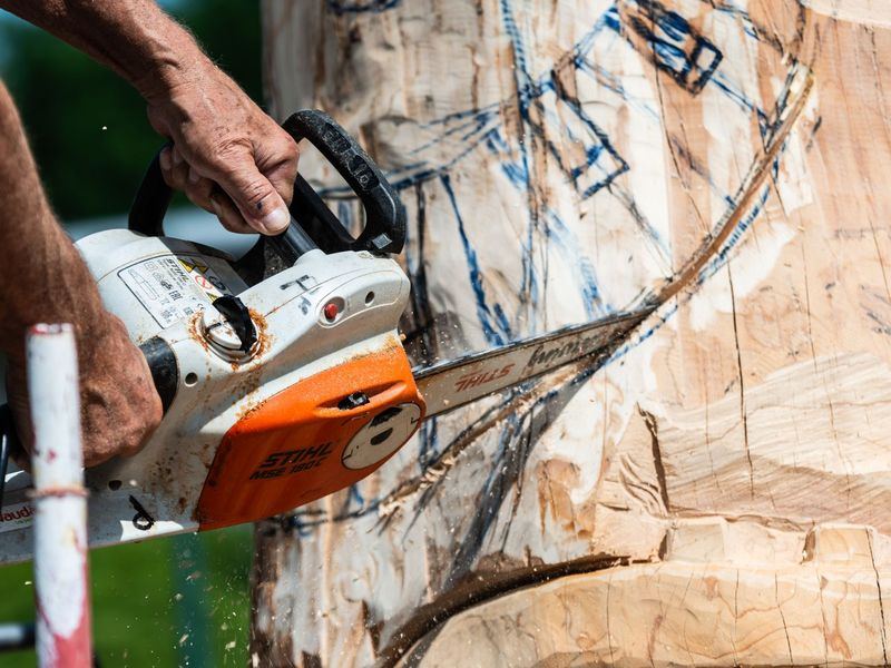Tree removal job near Wake Forest, NC